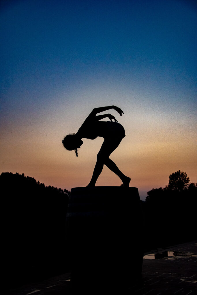 Business Branding Two Cats In The Yard Photography