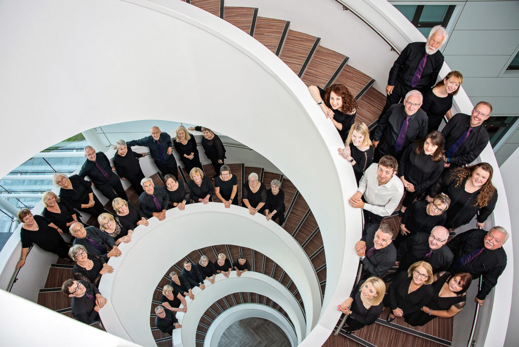 Business Branding Photography Two Cats In The Yard