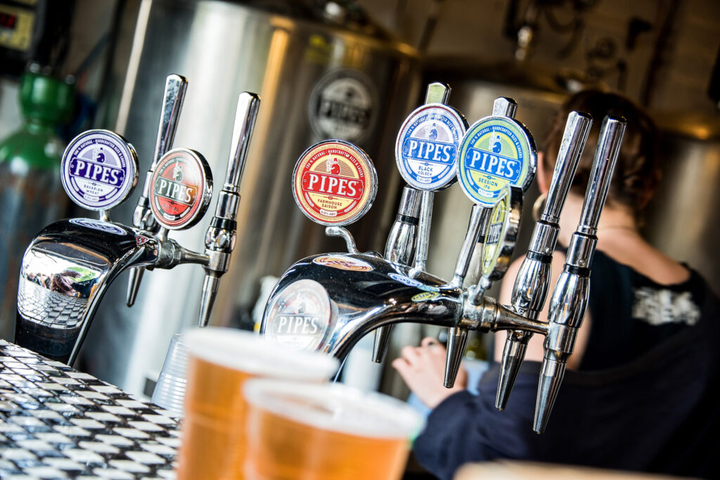Business Branding Photography Two Cats In The Yard